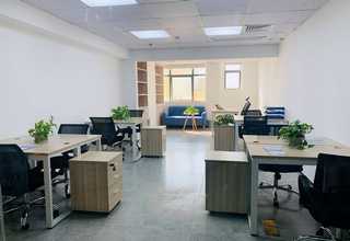 用于食用油精炼减压蒸馏出料泵技术先进